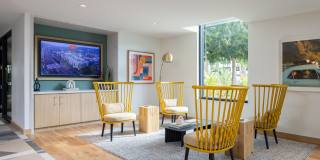 The Margo Gallery 15