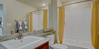 Hills at Sandy Station Gallery 11