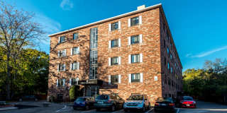 1-bed w/ Heat & Parking - Mt. Auburn (Watertown-Cambridge line) Gallery 10