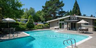 Audubon Square Gallery 7