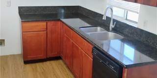 21862 Dracaea Gallery 4