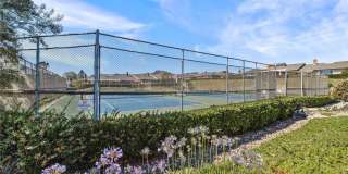 3519 Paseo Flamenco Gallery 38