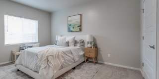 Olympus at Ten Mile Gallery 10