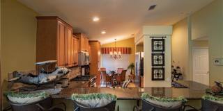 20311 Rookery Drive Gallery 14