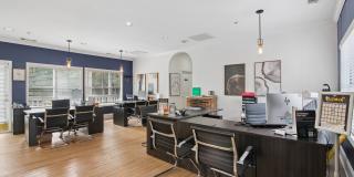 Greenhouse Gallery 4