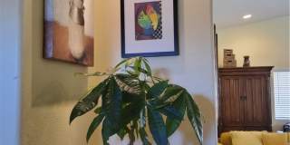 8523 Barberry Gallery 6