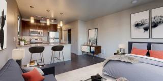 Koi Apartments Gallery 4