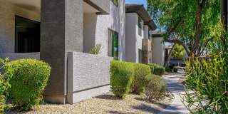 Avora Gallery 2
