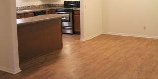 Springtree Gallery 14