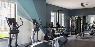 The Cannon Gallery 30