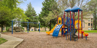 Autumn Crest Gallery 24