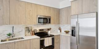 Griffin 441 Gallery 20