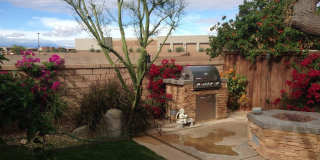 79760 Desert Willow Street Gallery 18