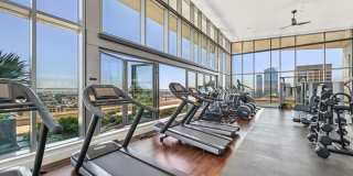 Park Fifth Gallery 22