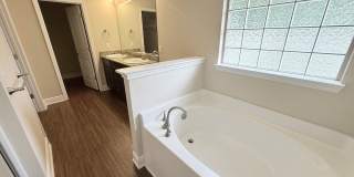 Beautiful 3 Bed/2 Bath Home Gallery 8