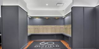 60 Duffield Street Gallery 9