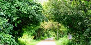 Madison West Elm Gallery 117