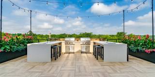 Berkley House Gallery 19