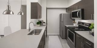 Camden Caley Gallery 8