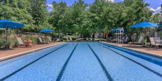 Ridgeleigh at Van Dorn Gallery 12