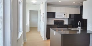 Ambassador Gallery 37