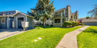 Bristle Pointe Gallery 6