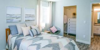 St. Lucia Gallery 8