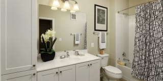 Avalon Laurel Gallery 13