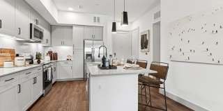 The Elmwood Gallery 4