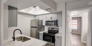 Rise on Cactus Gallery 11