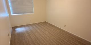 9062 Stargaze Avenue Gallery 12