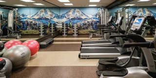 Latitude Latitude Gallery 11