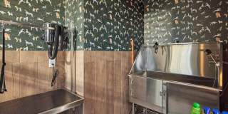 The Nixon Apartments Gallery 17