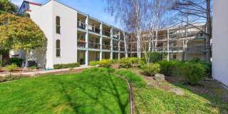 1501 Ptarmigan Dr Apt 1C 1501 Ptarmigan Dr Apt 1C Gallery 1