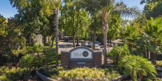 Trails at 2112 Gallery 9