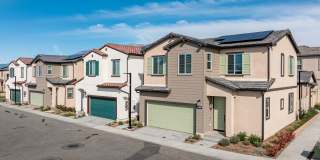 Glen at Fontana Gallery 12