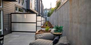 Morado Bothell Gallery 17