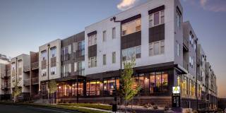 Alta Sloans Lake Alta Sloans Lake Gallery 1