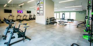 Bloom Apartment Homes Gallery 68