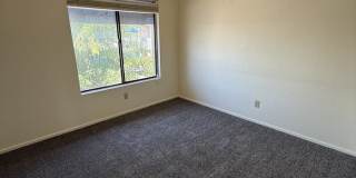7928 East Colette Circle Gallery 7