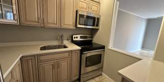 2650 N Lakeview Ave, Unit 1304, Chicago, IL 60614 Gallery 7