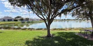 31205 BRIDGEGATE Drive Gallery 37