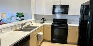 2450 S Coral Trace Cir Gallery 3