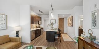 ReNew Oak Park Gallery 3