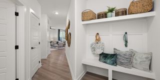 Olea Beach Haven Gallery 9