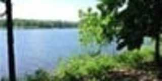 PERRYVILLE - 2.5 Acres with Cabin & Lake Access -  ONLY $999 DOWN Gallery 1