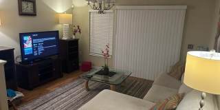 8807 WHITE SAGE LOOP Gallery 2