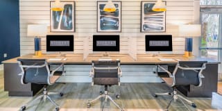 Element Carolina Bay Element Carolina Bay Gallery 19