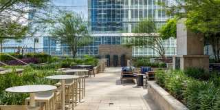 Northshore Gallery 23