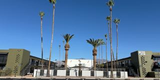 Palms on 2nd Gallery 24